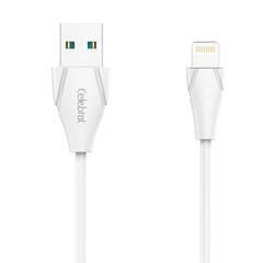 USB кабель для iPhone Lightning Celebrat CB01i
